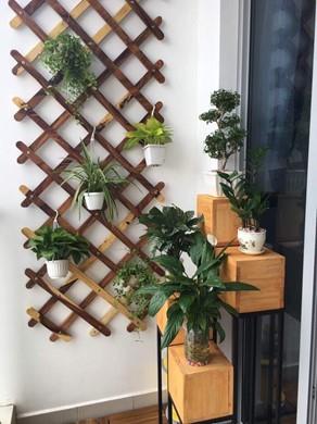 Apartment for rent BT105P490 (4)